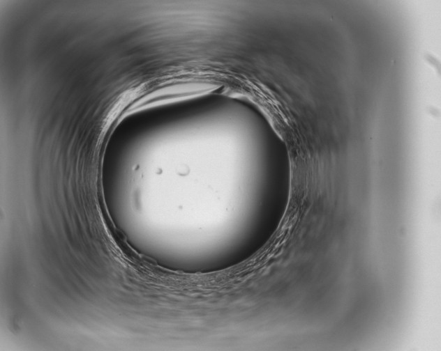 X0000097300003200802221346