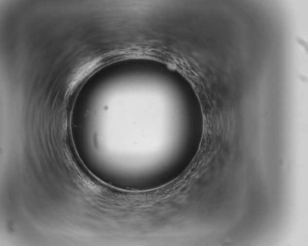 X0000097300005200802221346