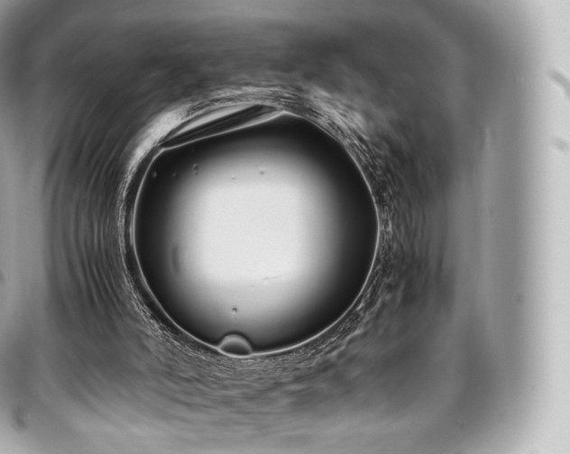 X0000097300006200802221346