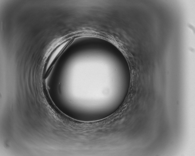 X0000097300007200802221346