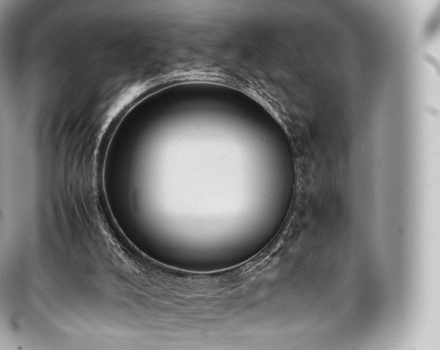 X0000097300008200802221346