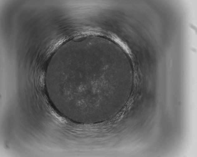 X0000097300009200802221346