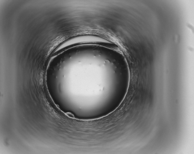 X0000097300010200802221346