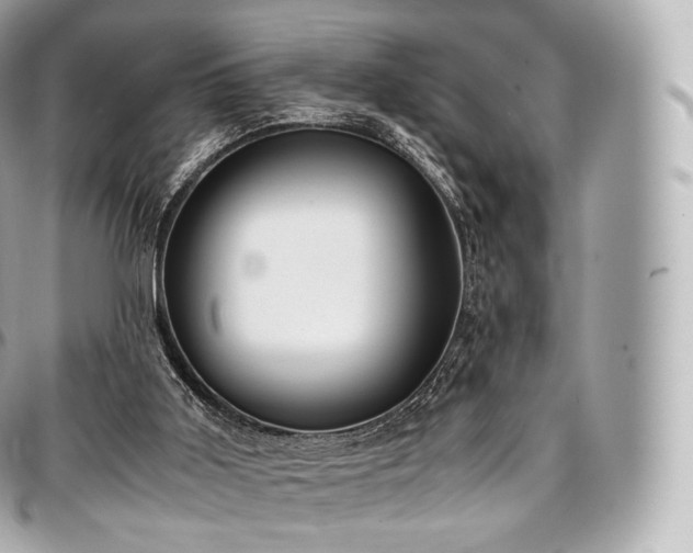 X0000097300011200802221346