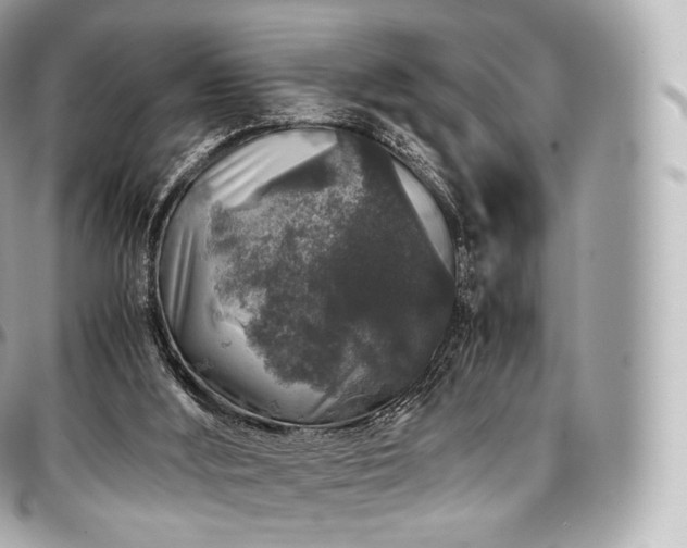 X0000097300012200802221346