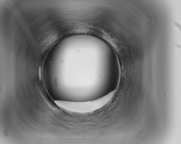 X0000097300013200802221346