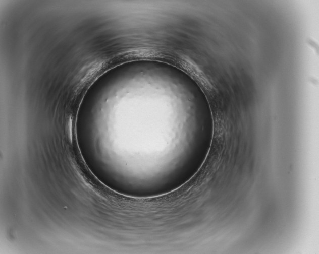 X0000097300014200802221346