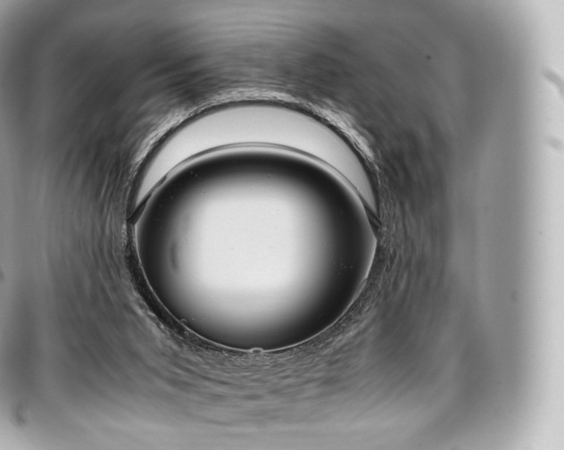 X0000097300015200802221346