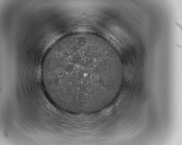 X0000097300016200802221346