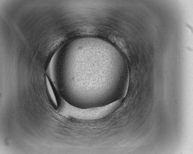 X0000097300017200802221346