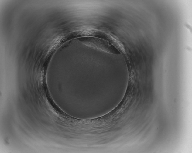 X0000097300018200802221346