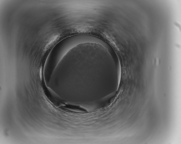 X0000097300019200802221346