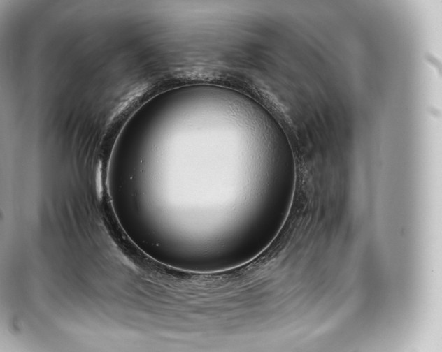 X0000097300020200802221346