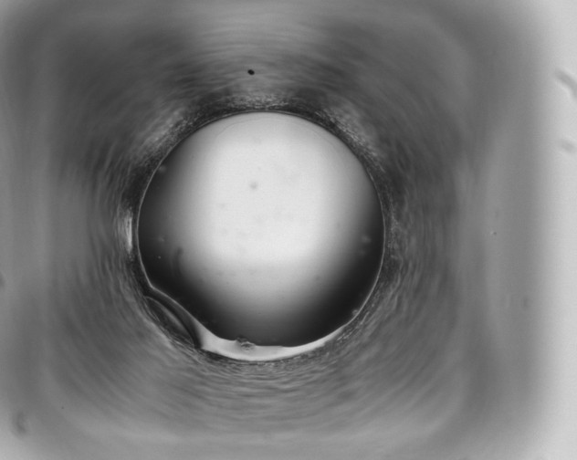 X0000097300021200802221346