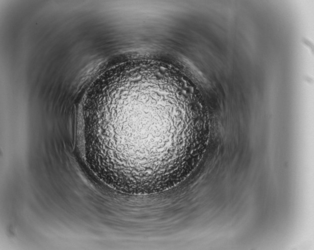 X0000097300022200802221346