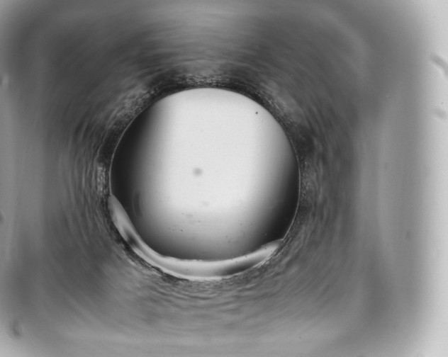 X0000097300025200802221346