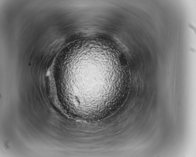 X0000097300026200802221346