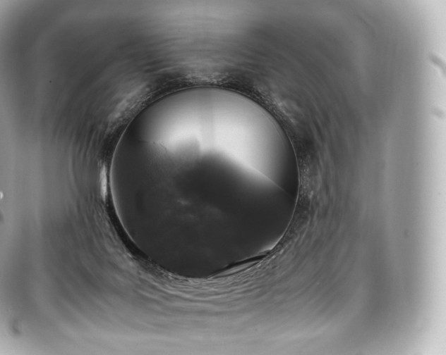 X0000097300027200802221346