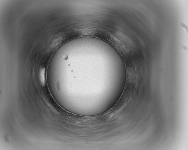 X0000097300028200802221346