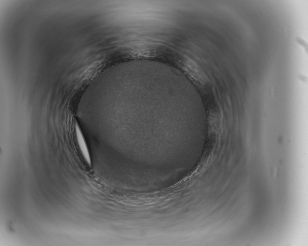 X0000097300029200802221346