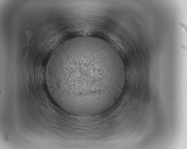 X0000097300030200802221346