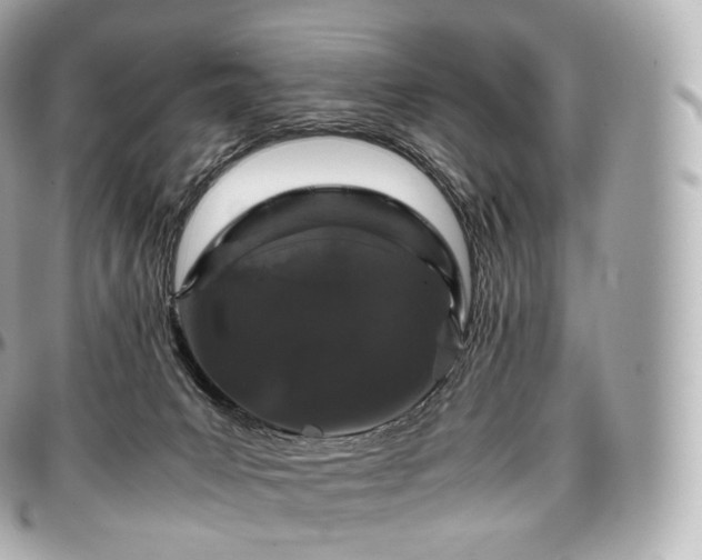 X0000097300031200802221346