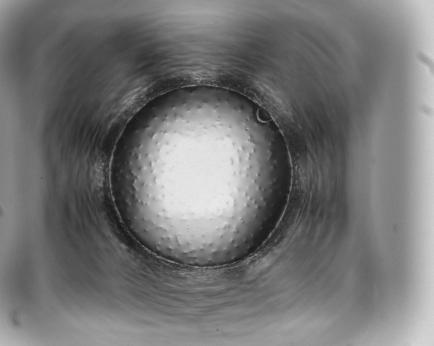 X0000097300032200802221346