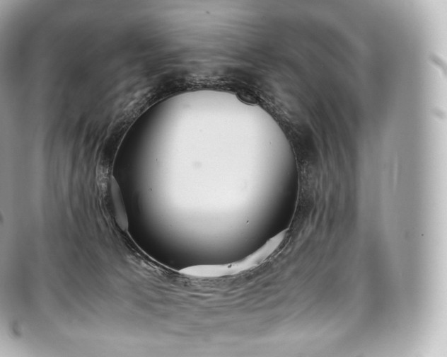 X0000097300033200802221346