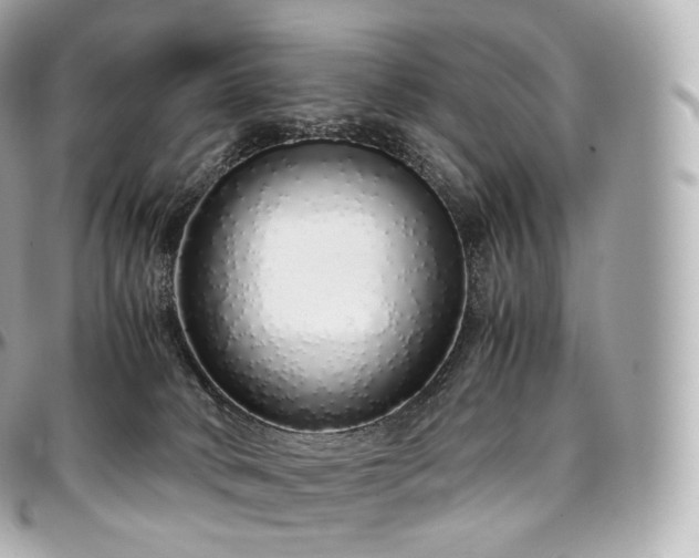 X0000097300034200802221346