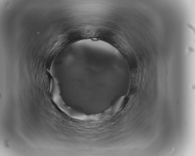 X0000097300035200802221346