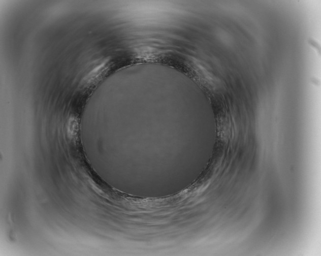 X0000097300036200802221346