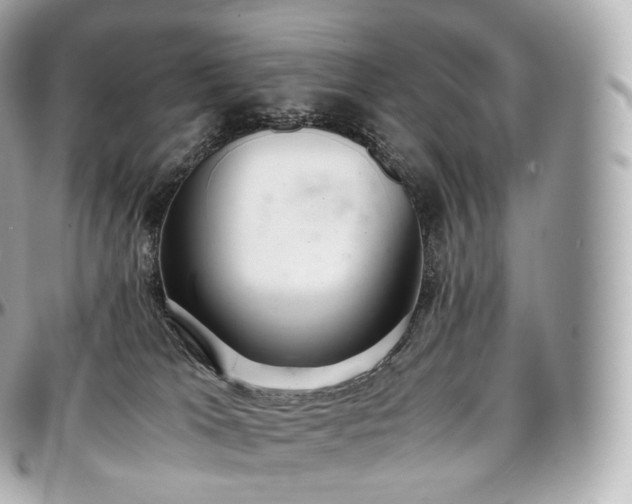 X0000097300037200802221346