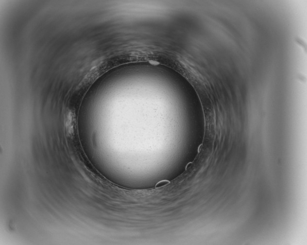 X0000097300038200802221346