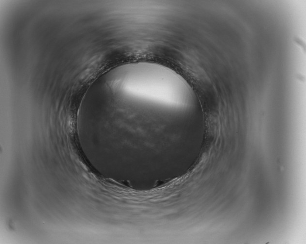 X0000097300039200802221346