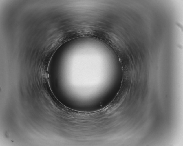 X0000097300040200802221346