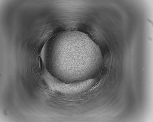 X0000097300041200802221346