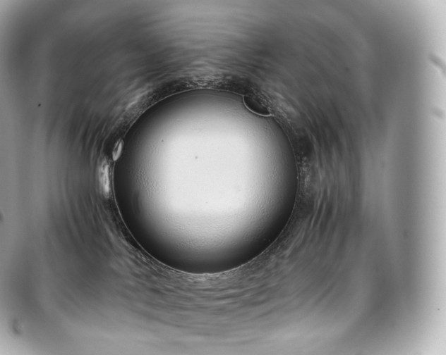 X0000097300042200802221346