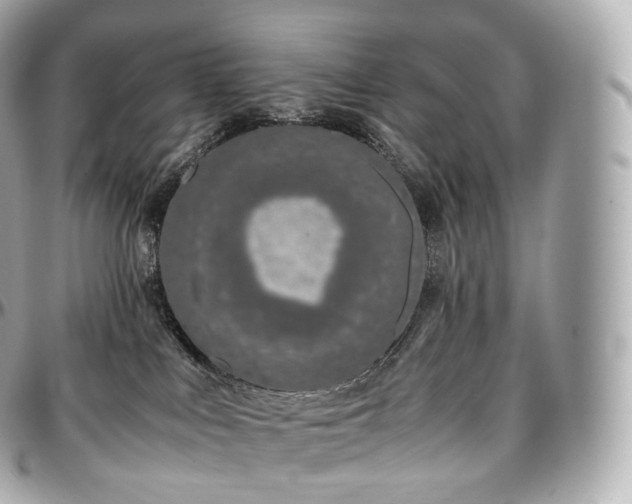 X0000097300043200802221346