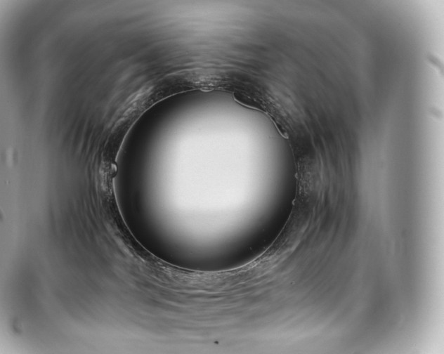 X0000097300044200802221346