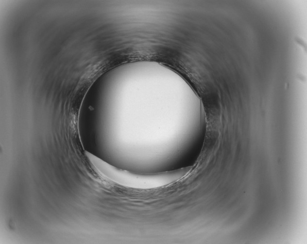 X0000097300045200802221346