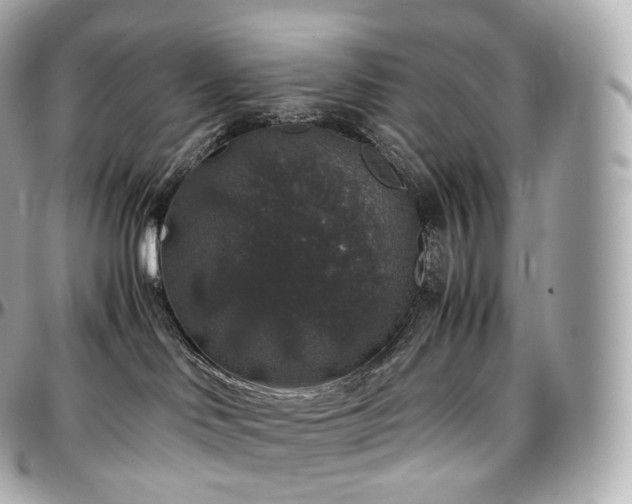 X0000097300046200802221346