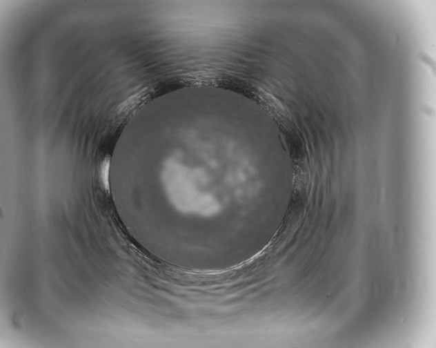 X0000097300047200802221346