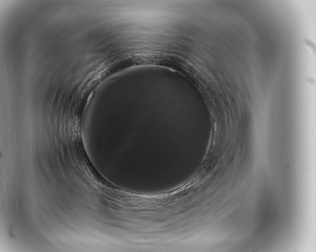 X0000097300048200802221346