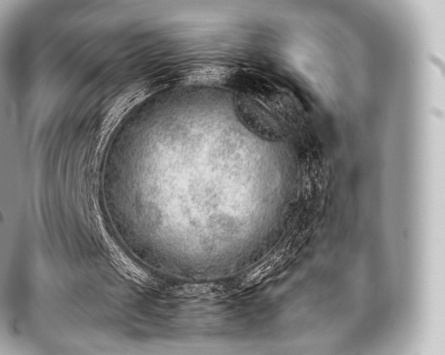 X0000097300049200802221345