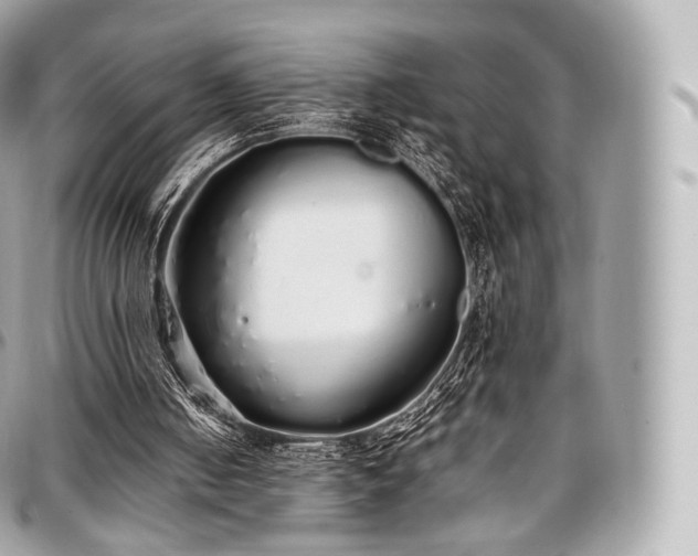 X0000097300050200802221345