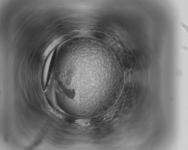 X0000097300051200802221345