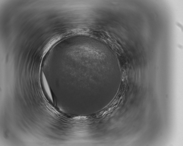 X0000097300052200802221345