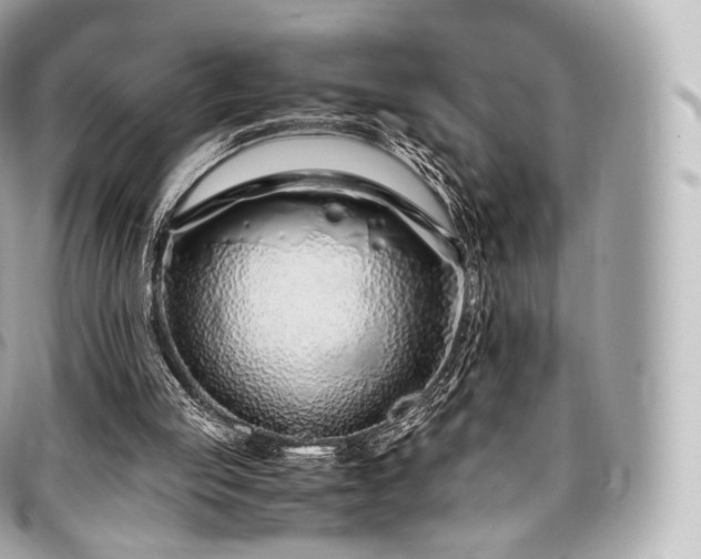 X0000097300053200802221345