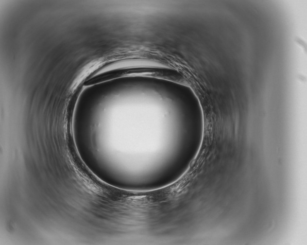 X0000097300054200802221345