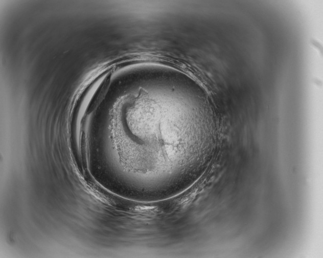 X0000097300055200802221345